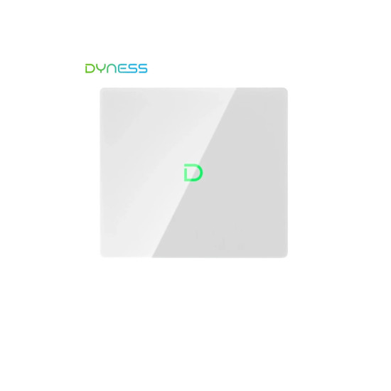 Dyness PowerBox G2
